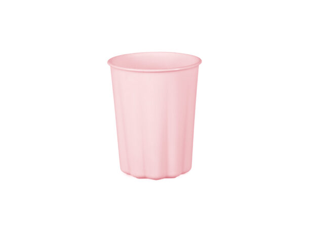 Korduvkasutatavad plastiktopsid