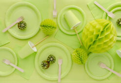 Helerohelised pabertaldrikud