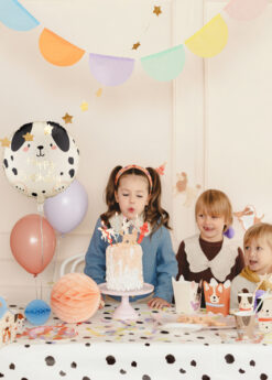 Happy Birthday fooliumõhupall koeraga
